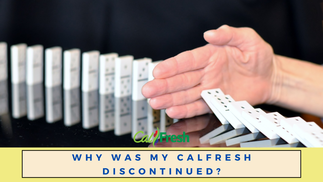 Why Was My Calfresh Discontinued?