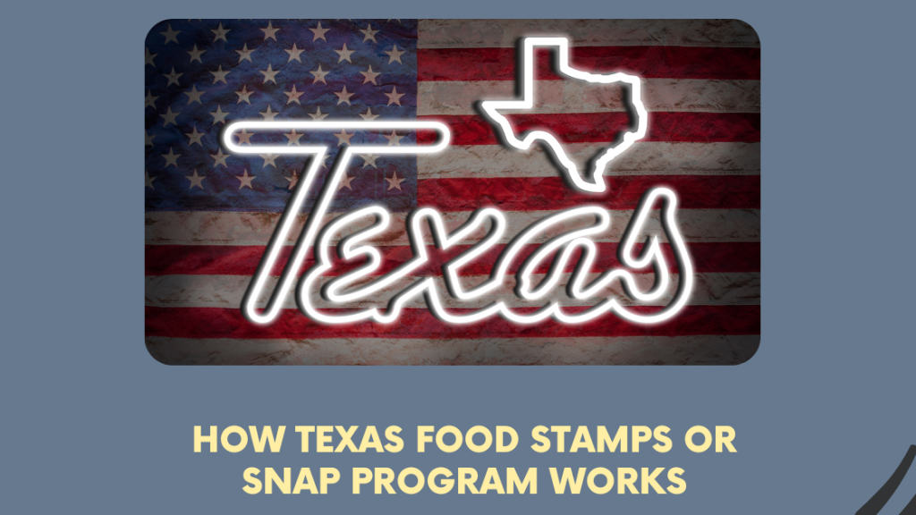 How Texas Food Stamps or SNAP Program Works